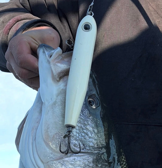 California Striped Bass Fall Run: Delta & Surf Fishing Guide