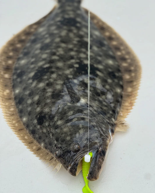 Florida Flounder Season: Regulations & Best Jigs