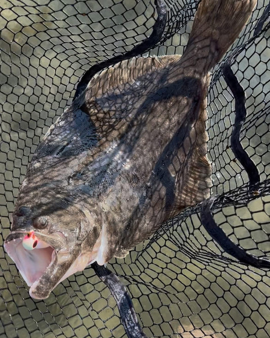 South Carolina Flounder Fall Run: Regulations & Best Jigs