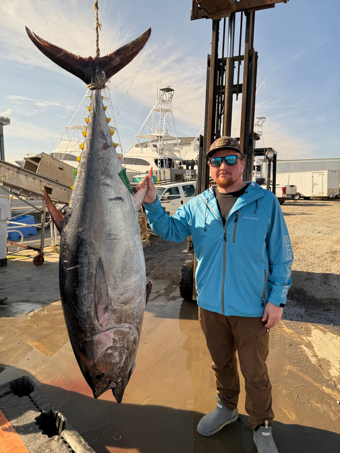 How Much Is a Bluefin Tuna Worth? Market Prices Explained