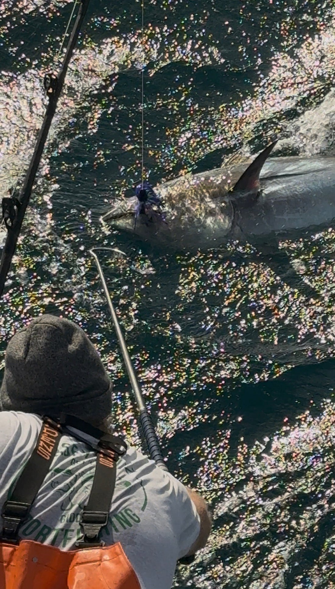 Bluefin Tuna Fishing Out of Montauk: Season & Tactics