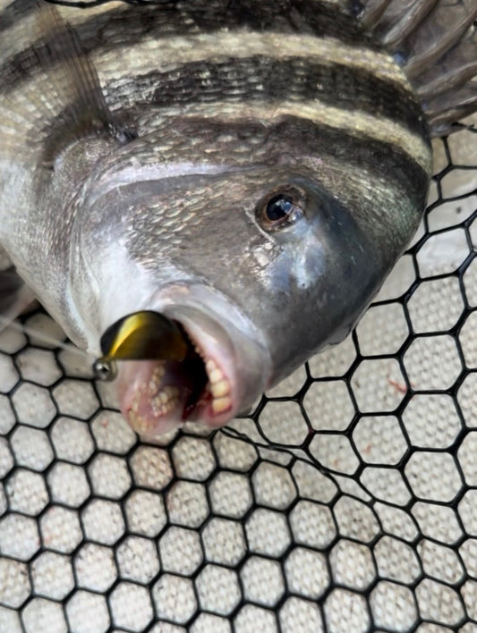 Best Sheepshead Jigs: Tog Jig Techniques for Structure Fishing