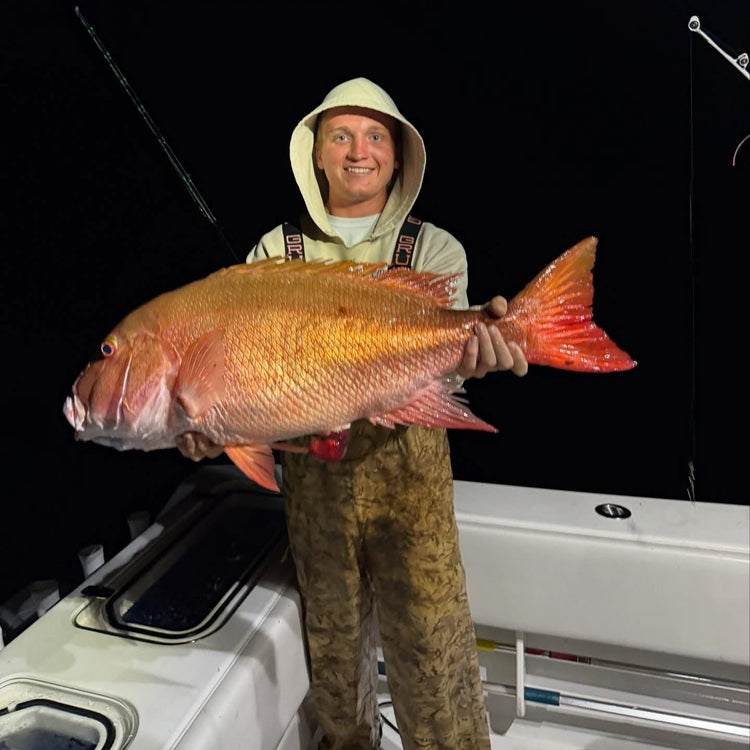 Snapper / Grouper Collection
