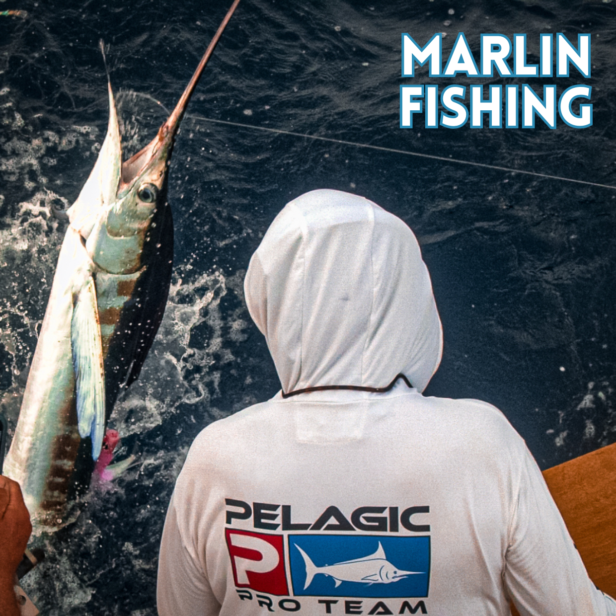 Marlin Fishing