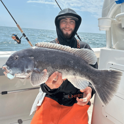 Tog Fishing
