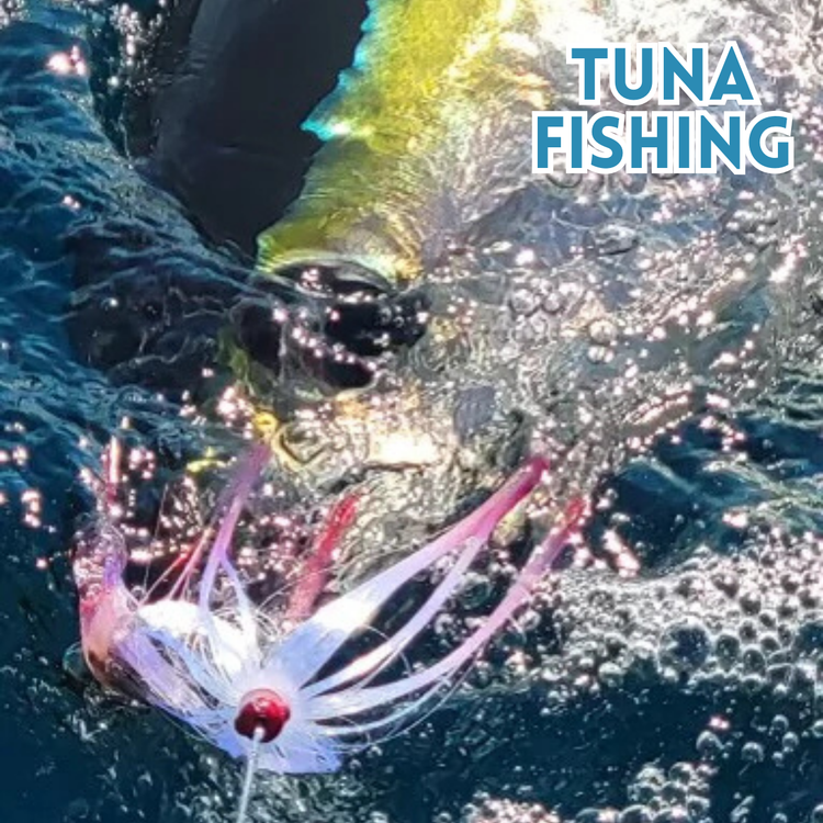 Tuna Fishing