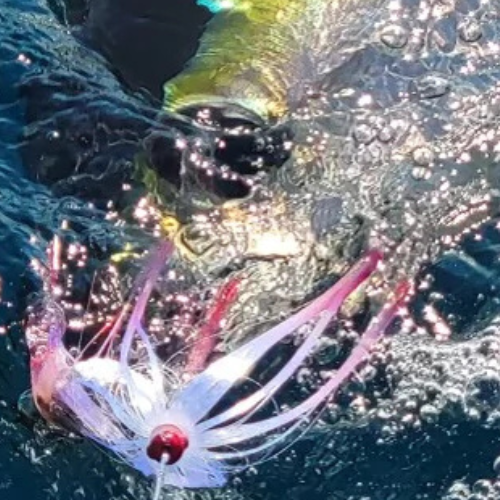 Pre-Rigged HooMagic Lures