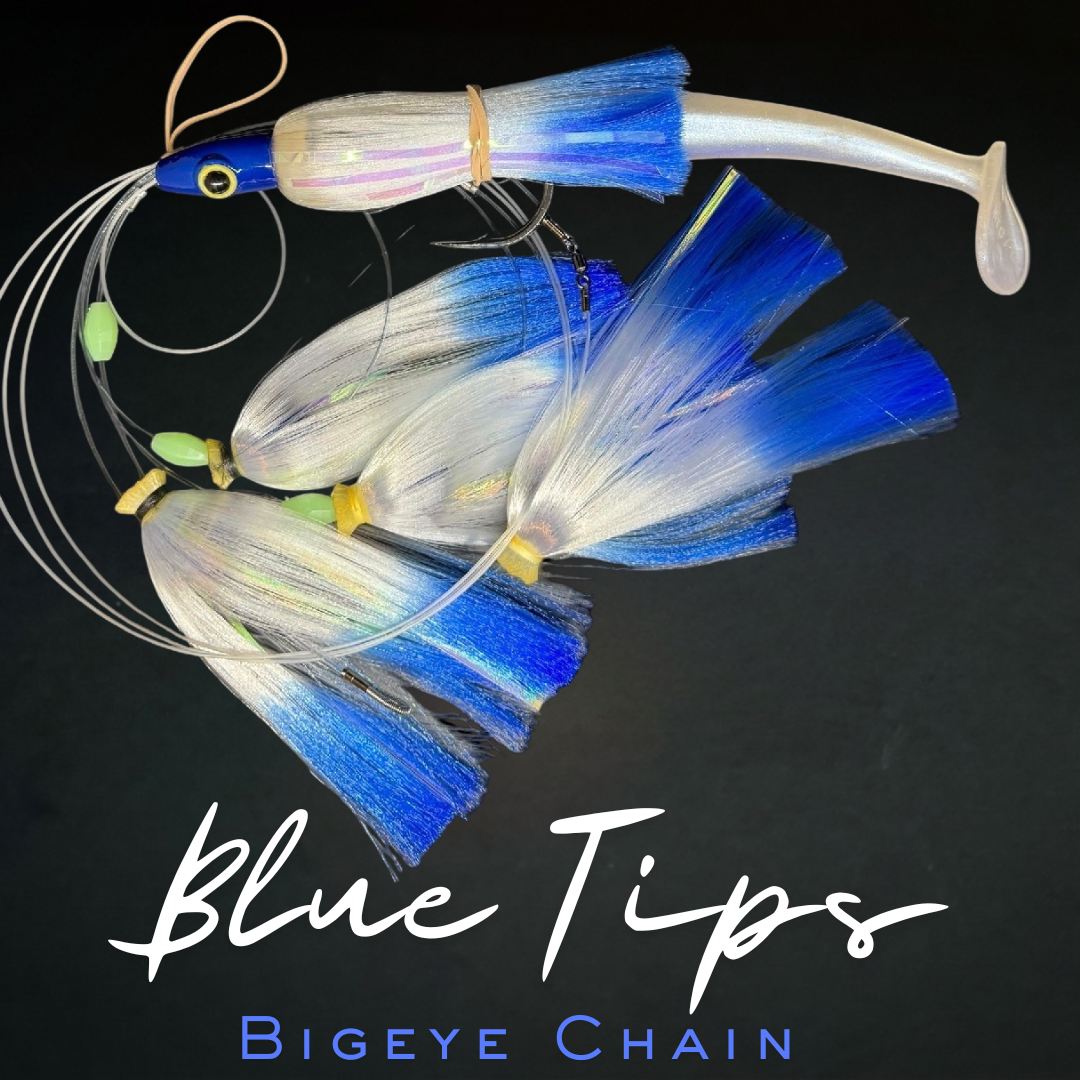Bigeye Chain with Magic Ballyhoo