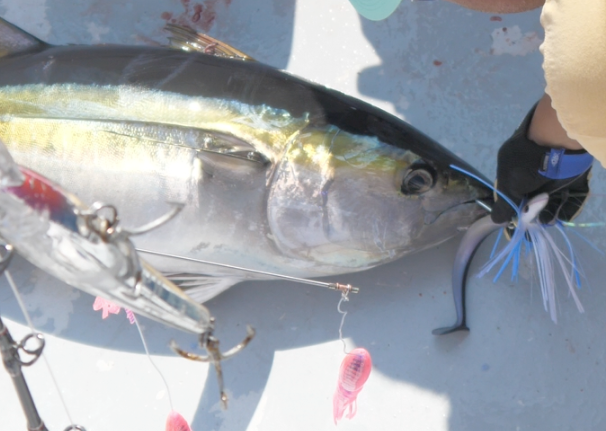 Unrigged Magic Ballyhoo Bundle