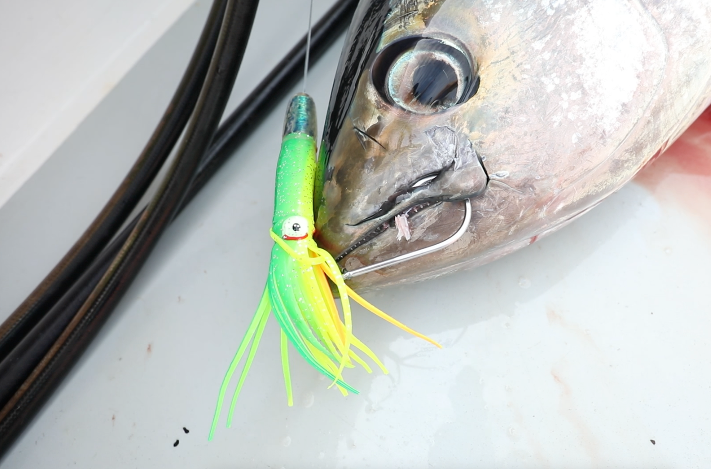 Magictail Daisy Chain Bundle